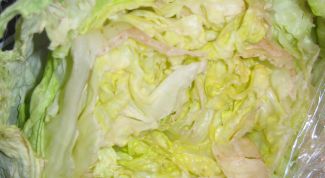 Картинка по теме - как приготовить быстро капусту