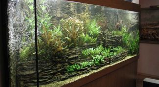 Картинка по теме - как приготовить морскую воду