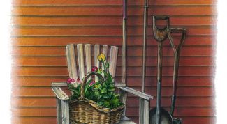 Картинка по теме - как планировать участок