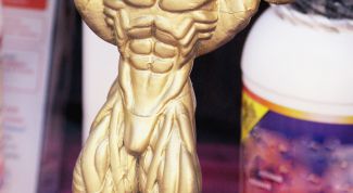 Картинка по теме - как накачать мышцы голеней