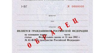 Картинка по теме - как получить вкладыш гражданства на ребенка