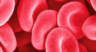 Картинка по теме - как повысить эритроциты в крови
