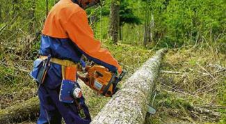 Картинка по теме - как отрегулировать карбюратор бензопилы