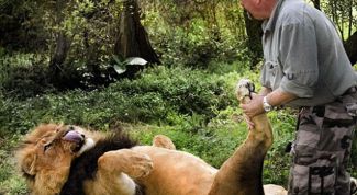 Картинка по теме - как отпраздновать день рождения необычно