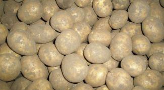 Картинка по теме - как увеличить урожай картофеля