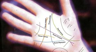 Картинка по теме - как определить продолжительность жизни