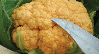Картинка по теме - как приготовить ребенку цветную капусту