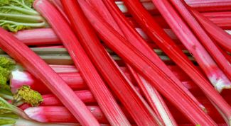 Картинка по теме - как готовить ревень