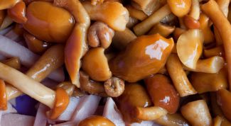 Картинка по теме - как жарить опята