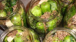 Картинка по теме - как готовить огурцы соленые