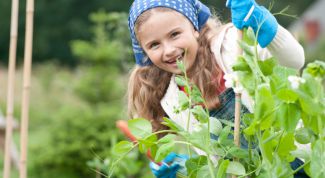 Картинка по теме - как научить ребенка работать