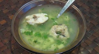 Картинка по теме - как варить уху из судака