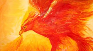 Картинка по теме - как нарисовать феникса