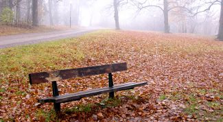 Картинка по теме - как нарисовать туман