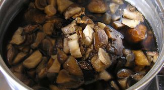 Картинка по теме - как варить сухие грибы