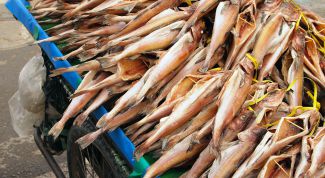 Картинка по теме - как хранить сушеную рыбу