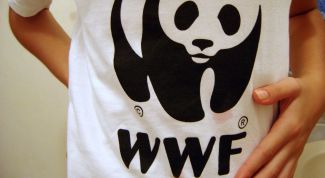 Картинка по теме - как сделать надпись на майке