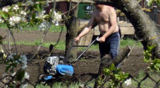 Картинка по теме - как пахать землю