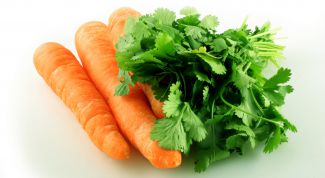 Картинка по теме - как приготовить морковное пюре