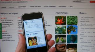 Картинка по теме - как сделать мобильную версию сайта