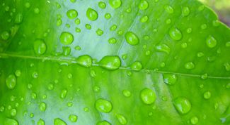 Картинка по теме - как рассчитать точку росы