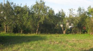 Картинка по теме - как начислить земельный налог