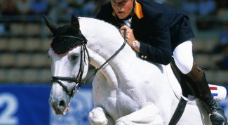 Картинка по теме - как фотографировать спорт