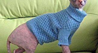 Картинка по теме - как вязать одежду для животных
