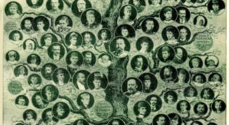 Картинка по теме - как нарисовать родословное дерево