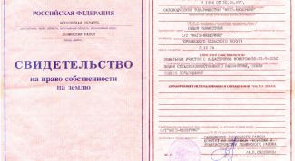 Картинка по теме - как получить свидетельство на землю