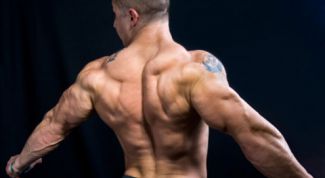 Картинка по теме - как качать широчайшие мышцы