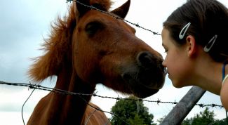 Картинка по теме - как научиться доброте