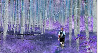 Картинка по теме - как инвертировать цвета