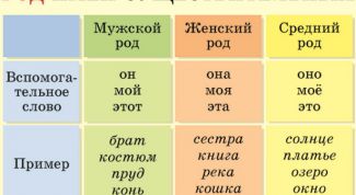 Картинка по теме - как определять род множественного числа
