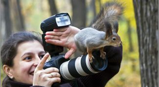 Картинка по теме - как красиво оформить свою фотографию