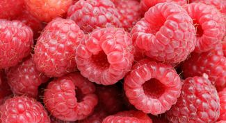 Картинка по теме - как получить гибрид