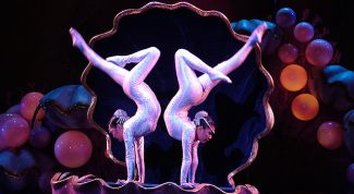 Картинка по теме - как научиться вставать на руки