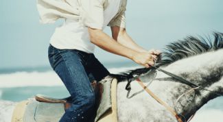 Картинка по теме - как оседлать лошадь