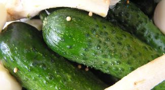 Картинка по теме - как готовить огурцы консервированные