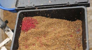 Картинка по теме - как выращивать мотыля