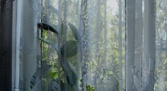 Картинка по теме - как обработать тюль