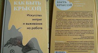 Картинка по теме - как быть крысой или искусство выживания на работе