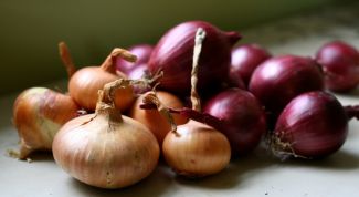 Картинка по теме - как вырастить хороший лук