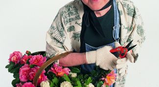 Картинка по теме - как найти дело по душе