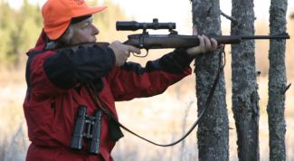 Картинка по теме - как оформить нарезное оружие