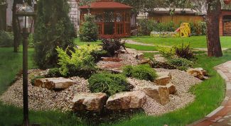 Картинка по теме - как украсить приусадебный участок