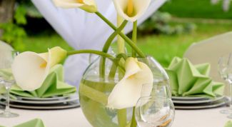 Картинка по теме - как организовать кейтеринг