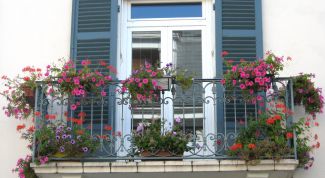 Картинка по теме - как продать пластиковые окна