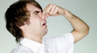 Картинка по теме - как избавиться от запаха шерсти