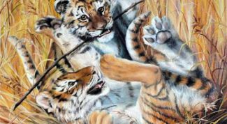 Картинка по теме - как нарисовать тигренка